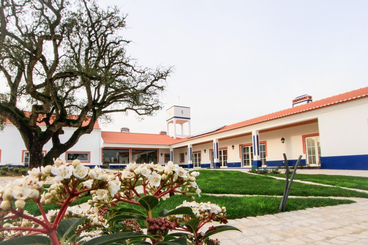 阿伦克尔Quinta Da Torre - Casas De Campo住宿加早餐旅馆 外观 照片